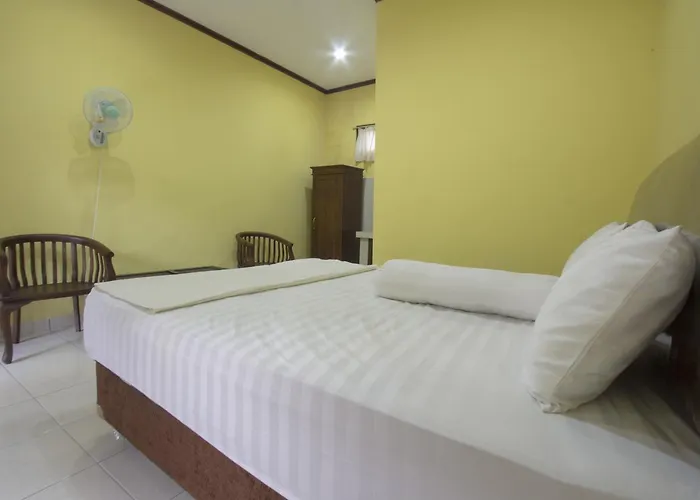 Nova * Ubud