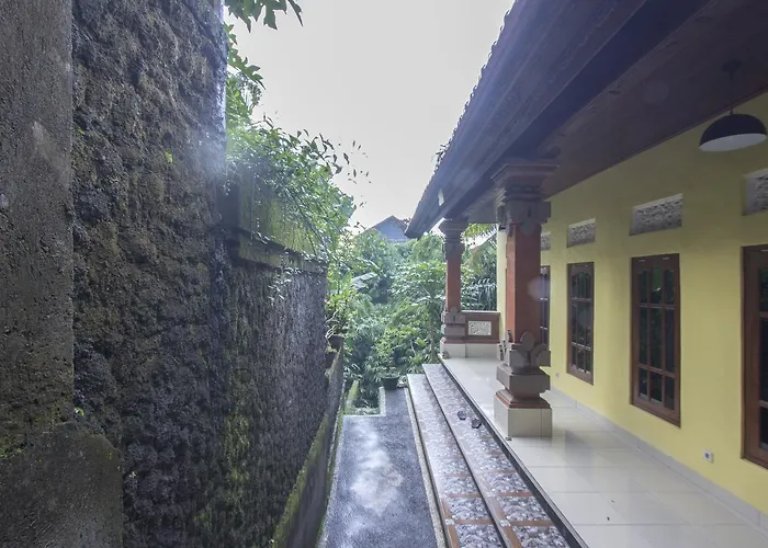 Nova * Ubud